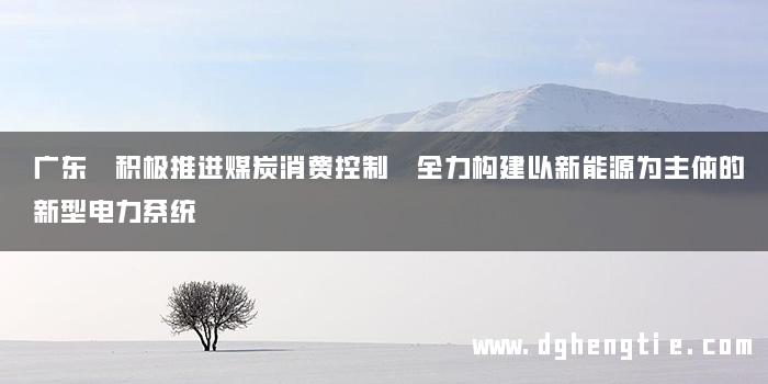 广东 积极推进煤炭消费控制 全力构建以新能源为主体的新型电力系统